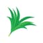 Pandan Leaf Icon